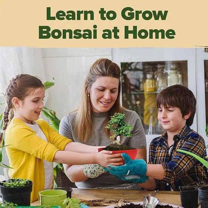 Bonsai Tree Kit - Gifts for Men & Women (Master Kit) by GreenHaven Gardens
