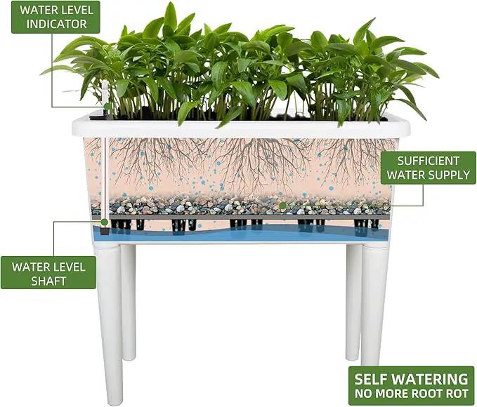 Dexceder 13.2 Gallon Self Watering Raised Garden Bed with Ventilation Transparent Lid Greenhouse, Deepen Vegetable Flower Box Planter Pot with Removeble Legs & Water Level Indicator (White) by GreenHaven Gardens