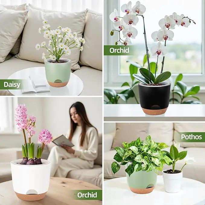 7.2 Inch Self Watering Orchid Pots for Indoor Plants,Macetas para Orqudeas,Flower Pots for Indoor Plants with Holes(Green) by GreenHaven Gardens