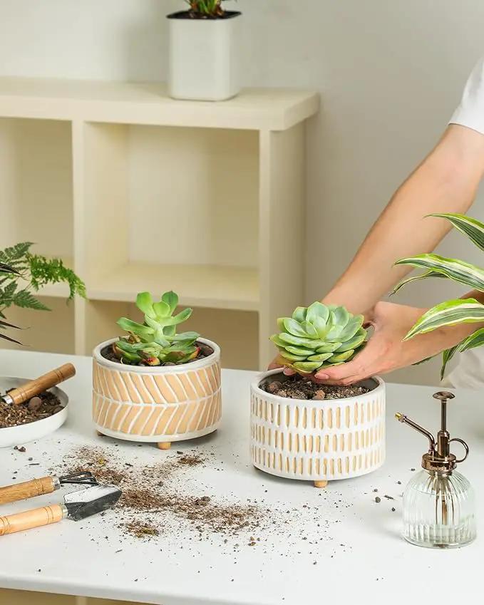 Succulent Pots, 6 Inch Pot for Indoor Plants, Footed Pots for Plants with Drainage, Succulents or Small Plant Indoor Plant Pots, Set of 2 by GreenHaven Gardens