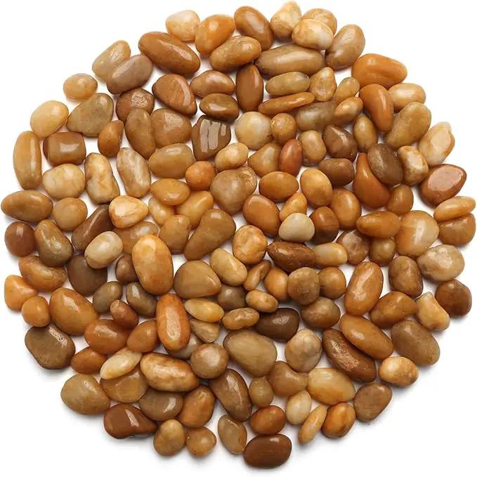 5 Lbs River Rocks for Plants,0.8-1.5 Inch Decorative Ornamental Pebbels, High Polished Stones for Garden Landscaping, Smooth Gravel Filler for Outdoor Plants, Succulents, Fish Tank and Vases, Yellow by GreenHaven Gardens