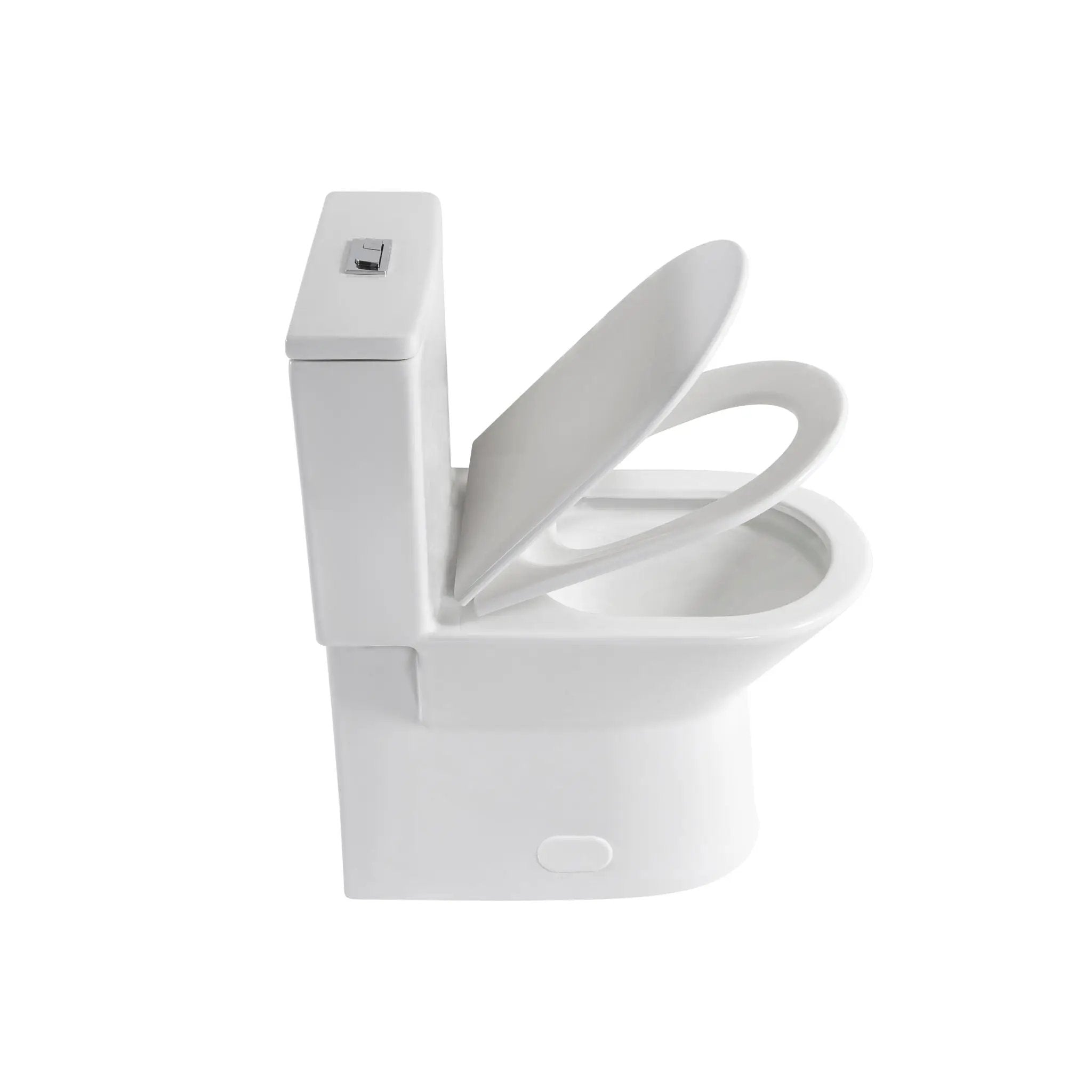 1 Piece Toilet With Dual Flush & Rimless Bowl - Glossy White by HouseOfZazla