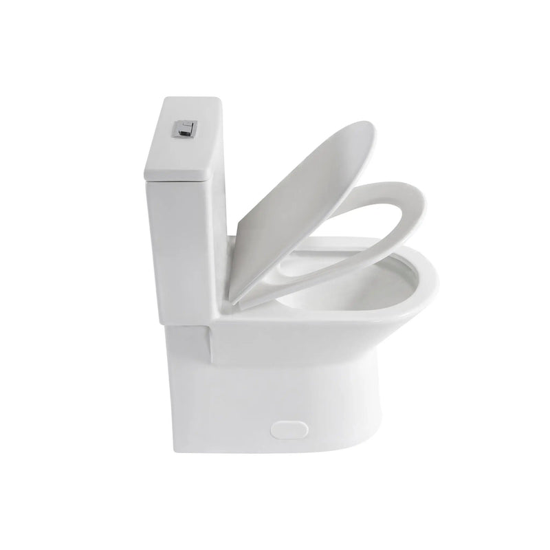 1 Piece Toilet With Dual Flush & Rimless Bowl - Glossy White by HouseOfZazla