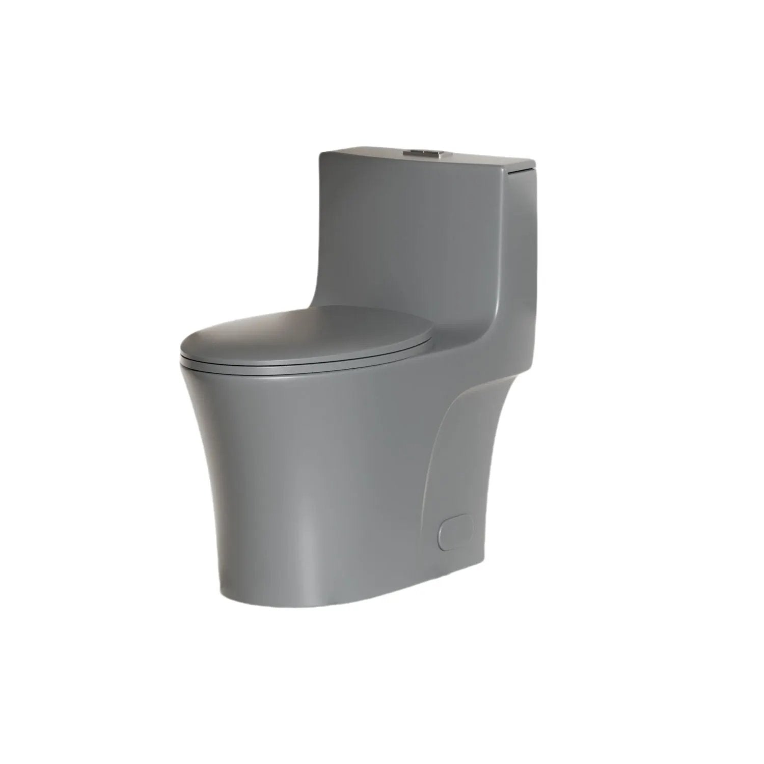 1 Piece Toilet With Dual Flush And Soft Closing Seat by HouseOfZazla