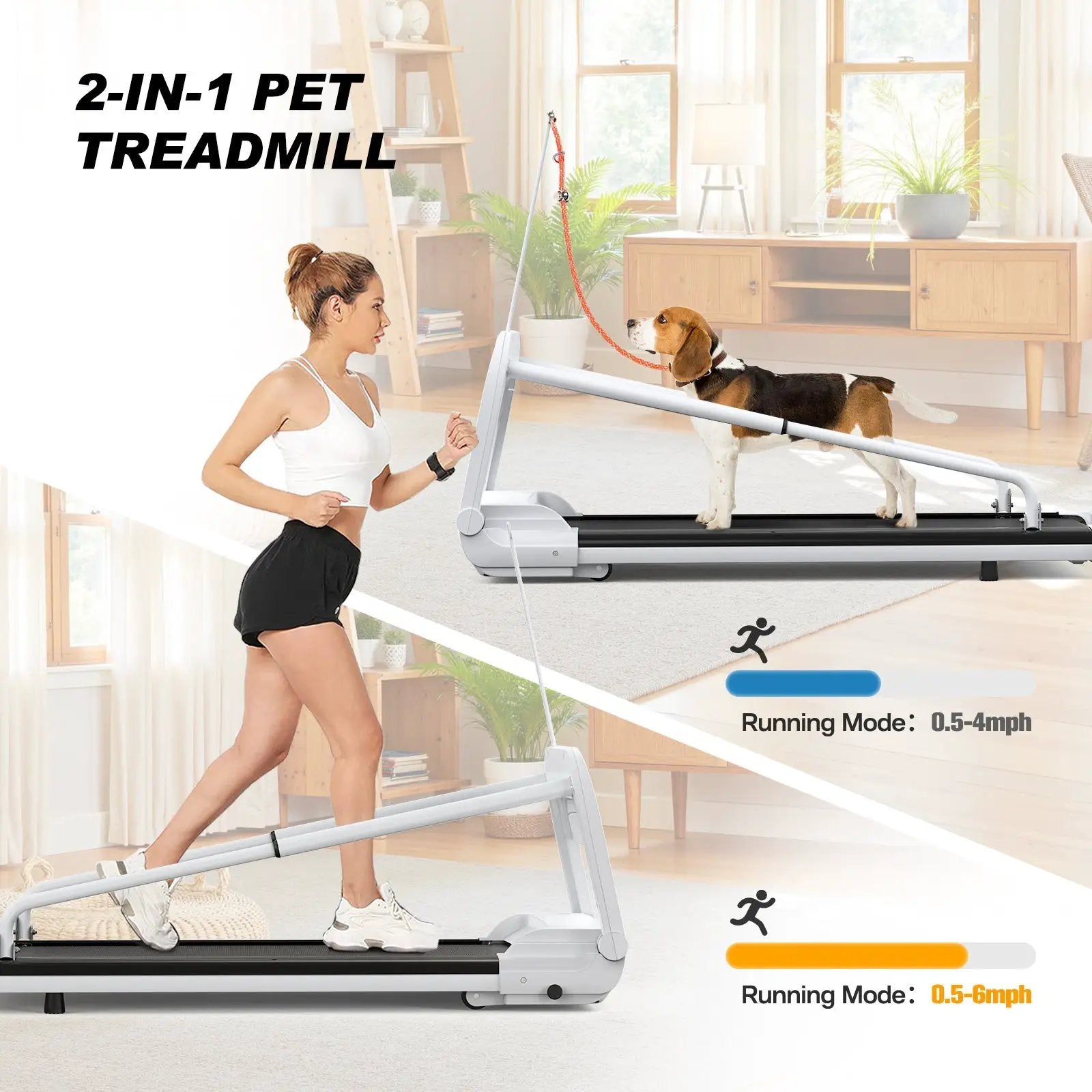 2025 New Quiet Smart Pet Treadmill by HouseOfZazla
