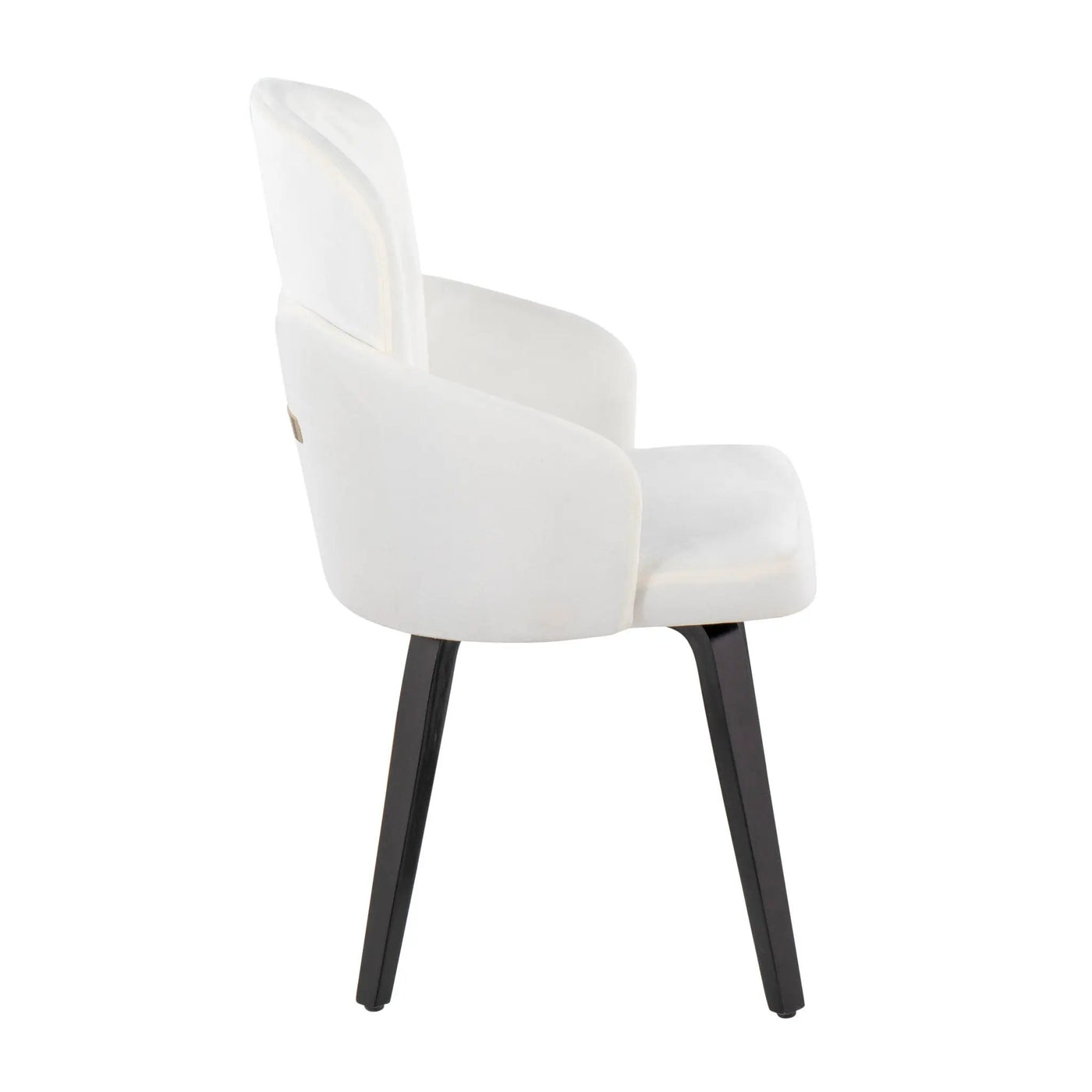 Dahlia - Contemporary Elegant Dining Chair (Set of 2) by HouseOfZazla