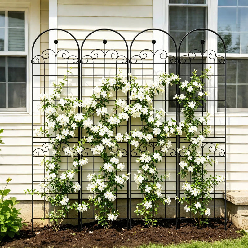 4 Pack Metal Garden Trellis for Climbing Plants by HouseOfZazla
