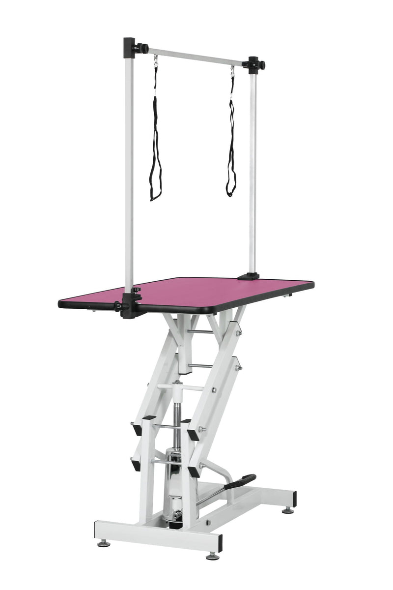 Hydraulic Pet Grooming Table With "H" Arm by HouseOfZazla