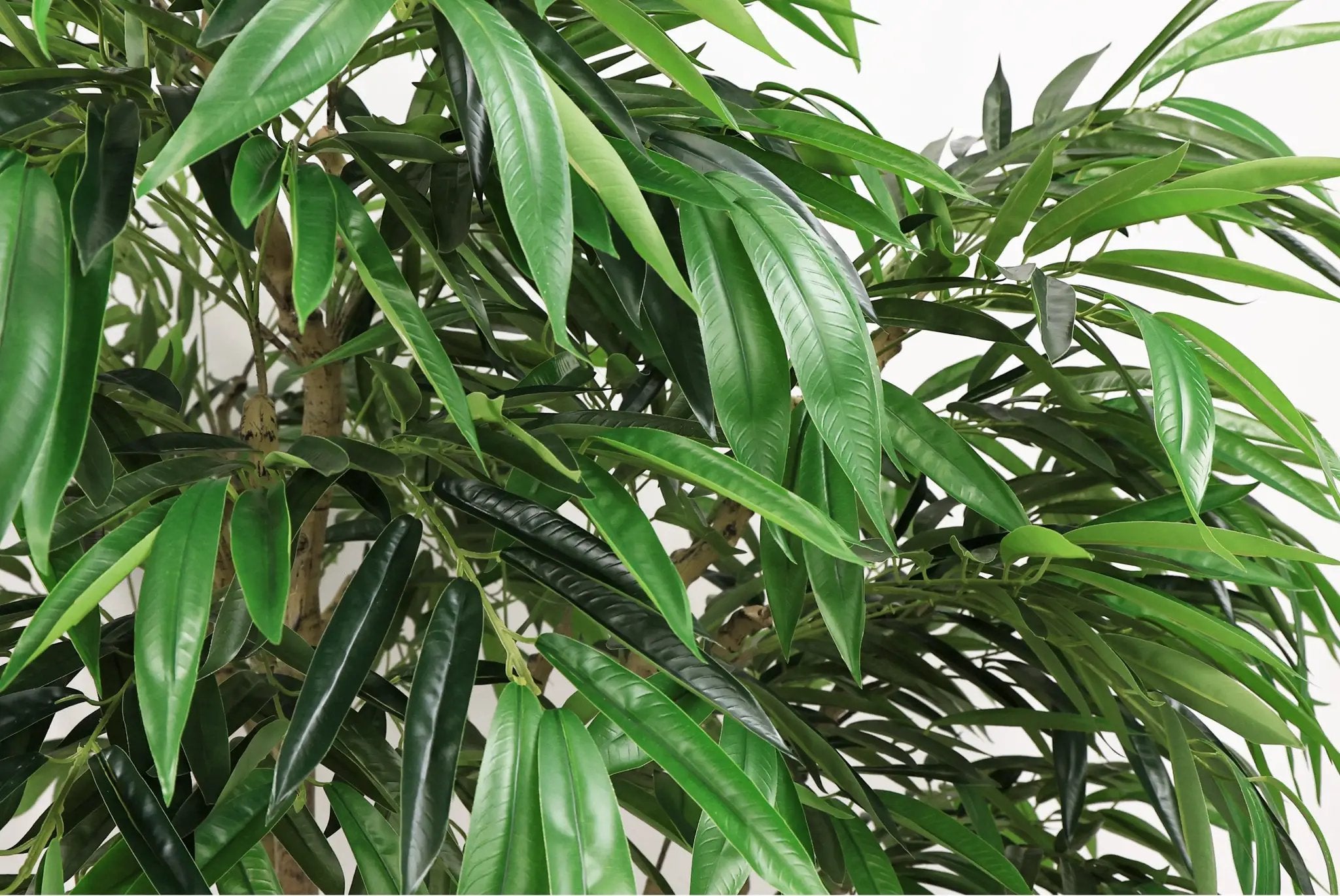 7FT Artificial Willow Tree Indoor Faux Greenery Plant by HouseOfZazla