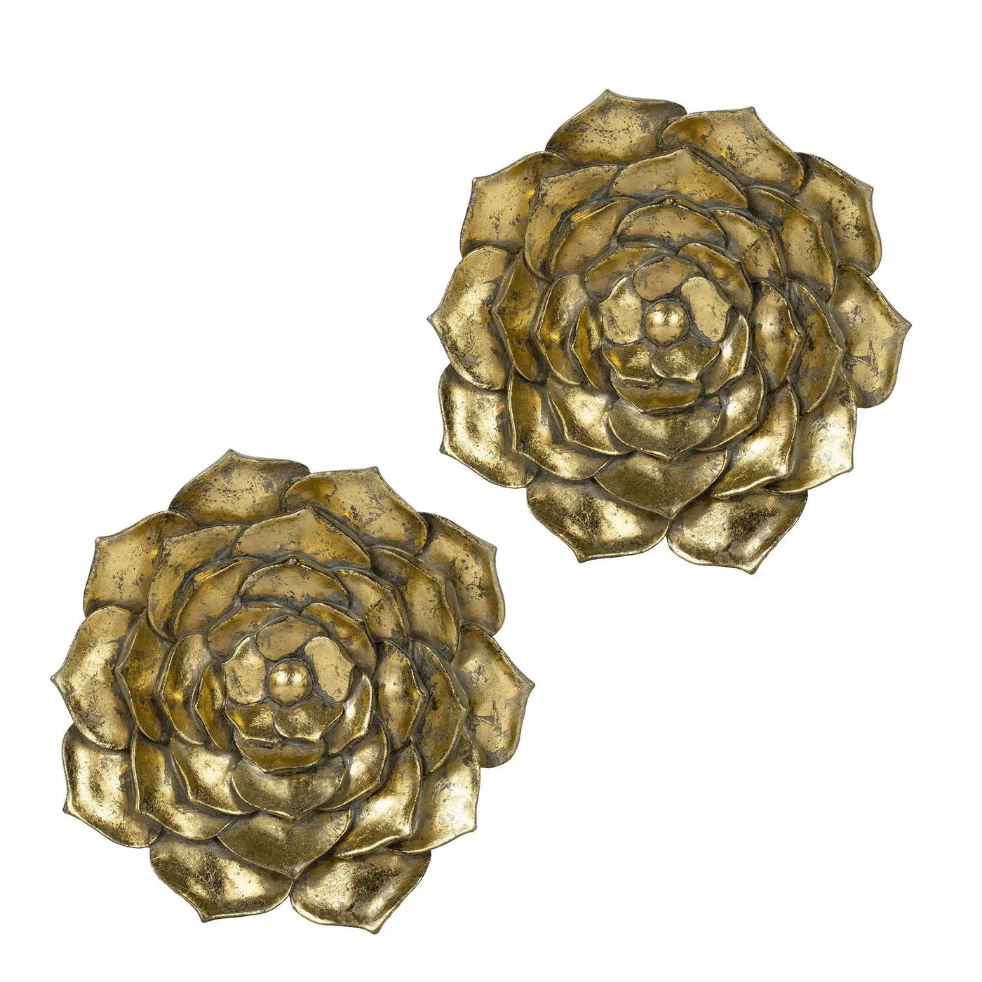 Succulent Wall Plaque Resin by Unique Piece Furniture