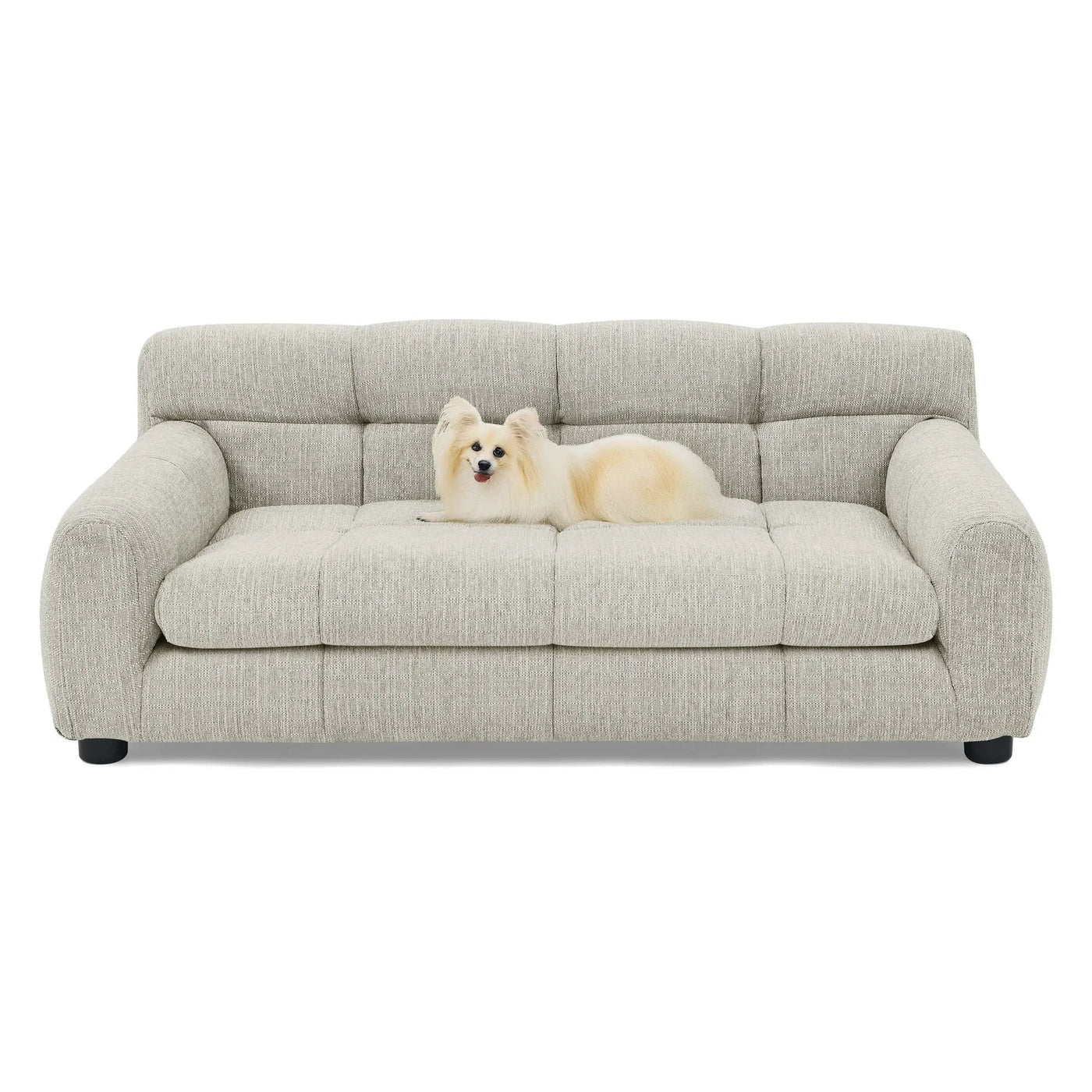 Modern Pet Sofa With Backrest And Armrests by HouseOfZazla