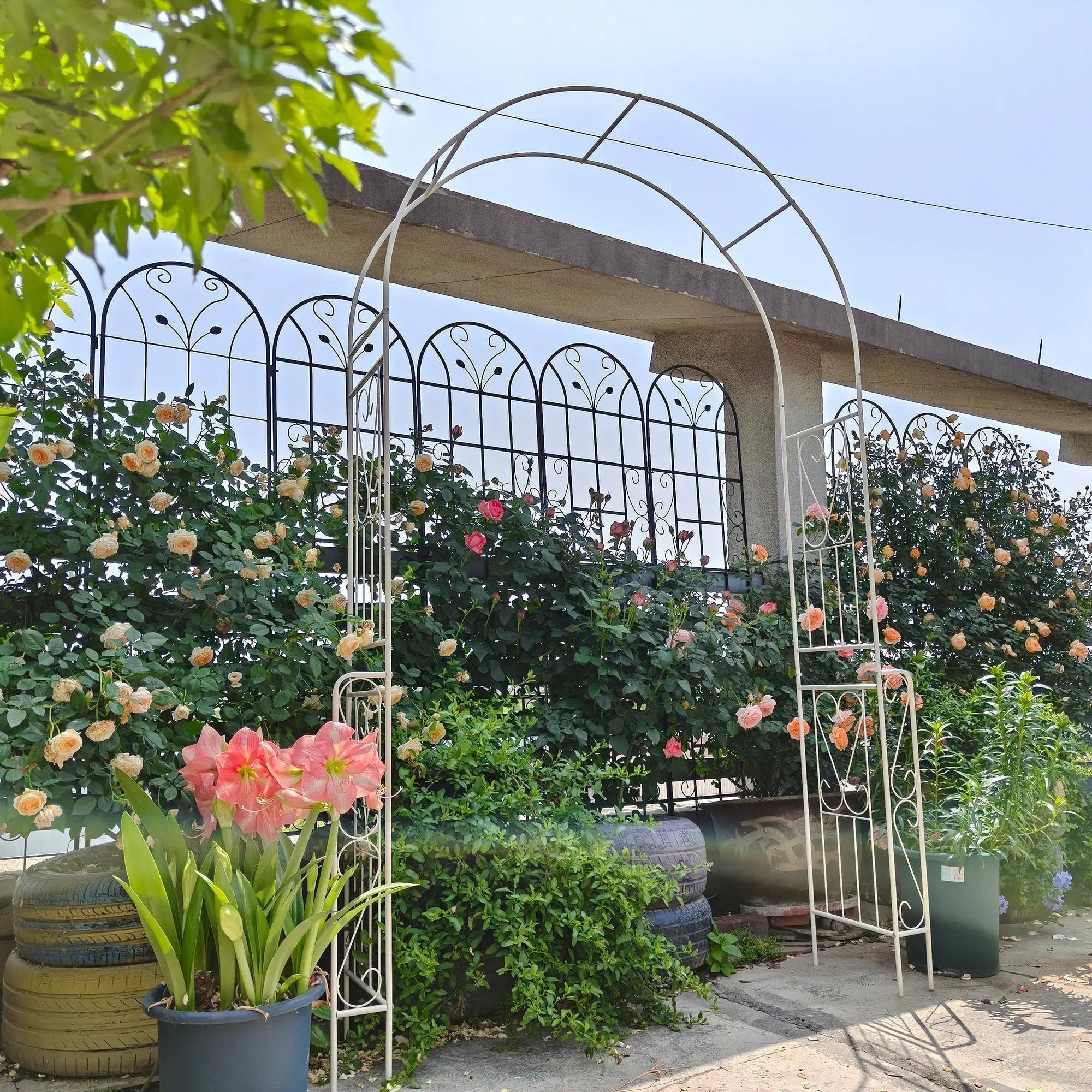 Metal Garden Arch W55'' x H94.5'' - Cream White Outdoor Arbor by HouseOfZazla