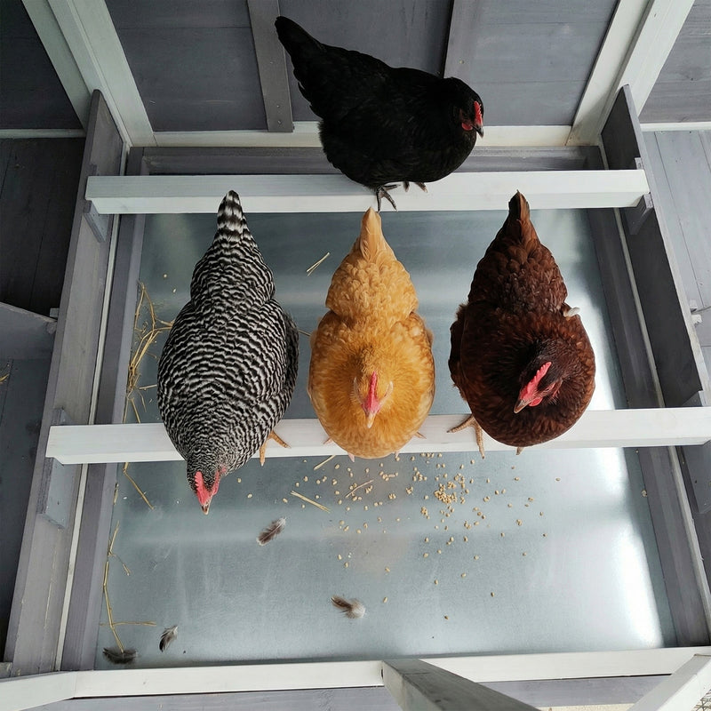 150" Extra Large Wooden Chicken Coop by HouseOfZazla
