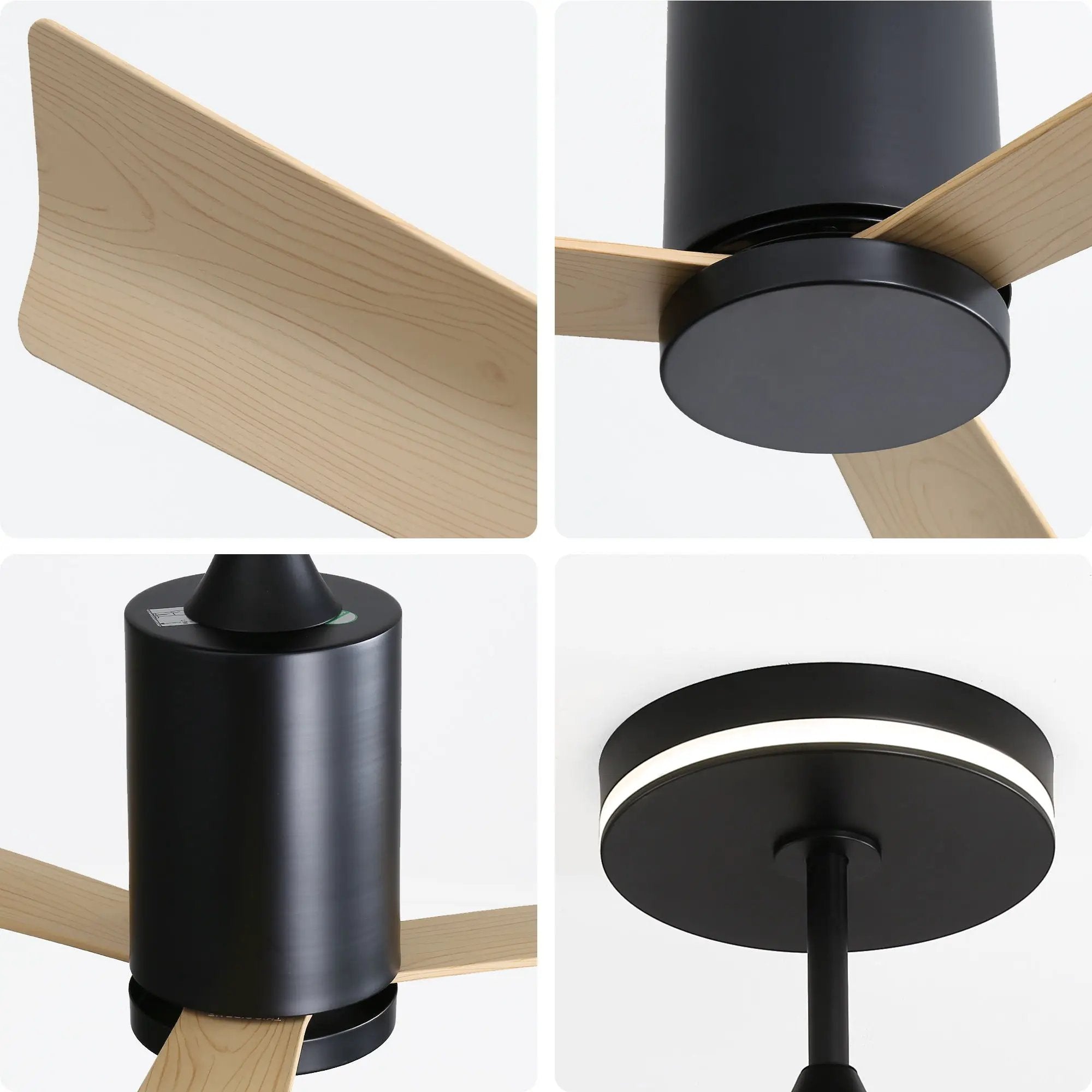 Modern Flush Mount Ceiling Fan With Led Light And Remote Control, 3 ABS Blades Noiseless Reversible Dc Motor For Patio Living Room - Matte Black by HouseOfZazla
