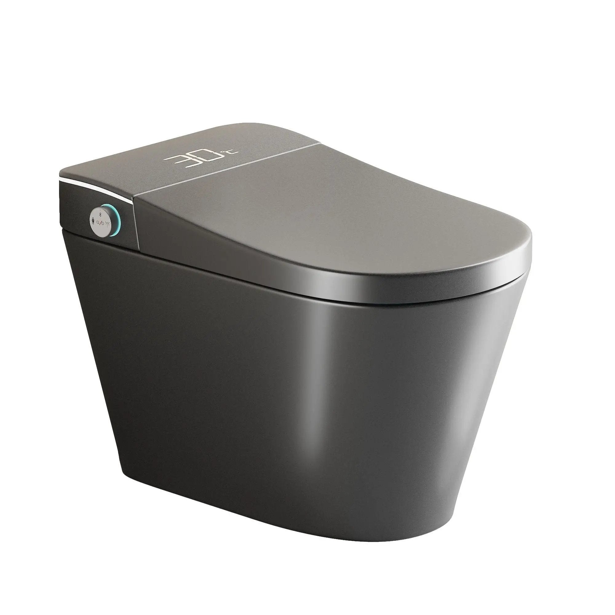 Smart Bidet Toilet With Auto Open / Close Seat, Warm Water Wash, Heated Seat, And Wireless Remote Control by HouseOfZazla