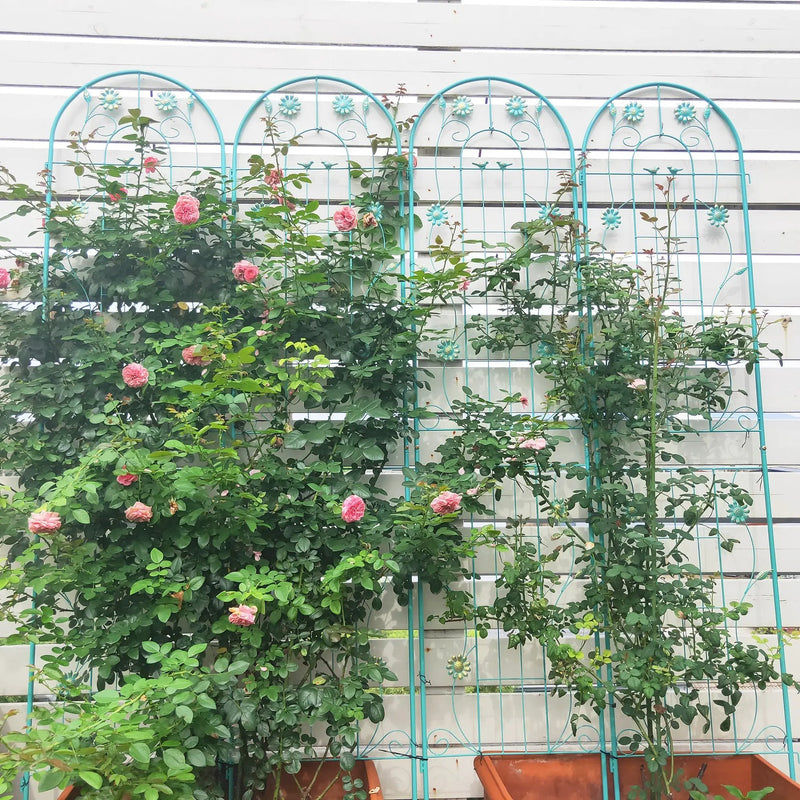 4 Pack Metal Garden Trellis 86.7'' x 19.7'' Rustproof Trellis for Climbing Plants by HouseOfZazla