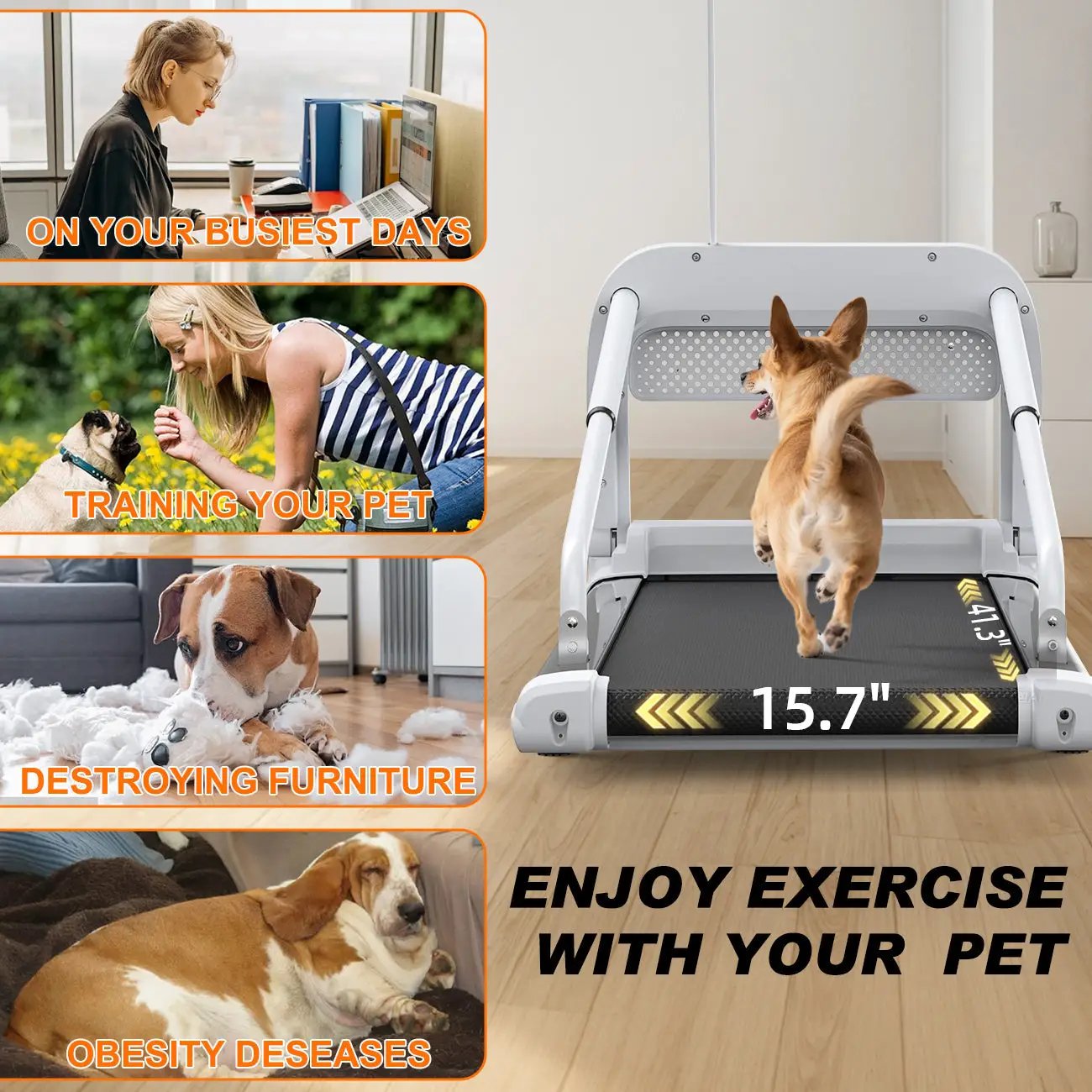 2025 New Quiet Smart Pet Treadmill by HouseOfZazla
