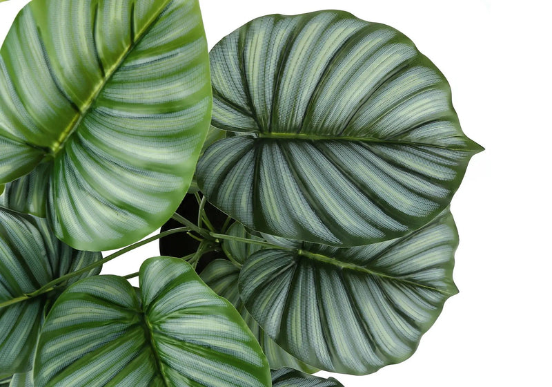 24" Tall Artificial Calathea Plant by HouseOfZazla