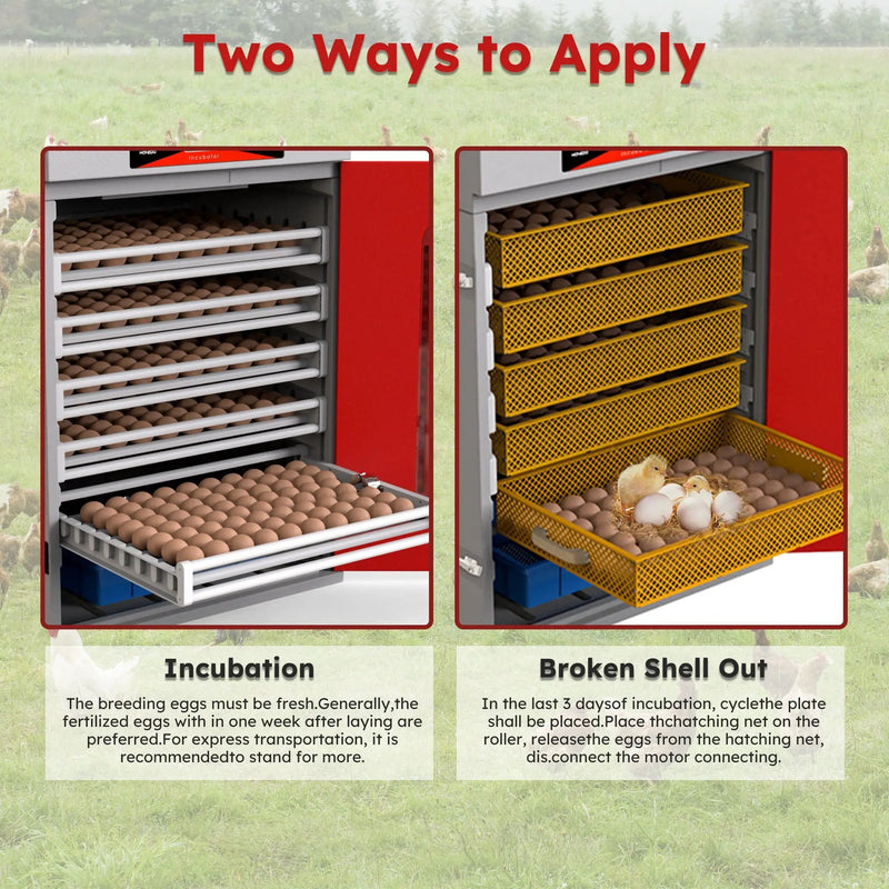 Commercial Egg Digital Cabinet Incubator With Auto Temperature & Humidity Control by HouseOfZazla