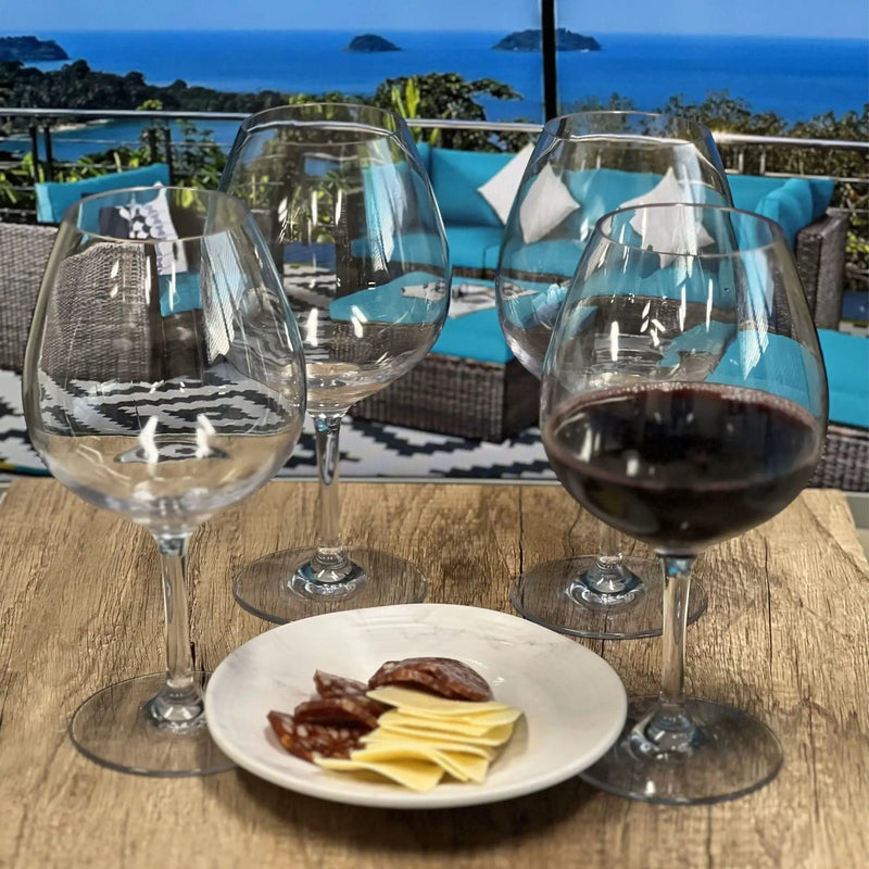 Leadingware Plastic Wine Glasses (Set of 4), Unbreakable Bpa Free Tritan 23Oz - Clear by HouseOfZazla