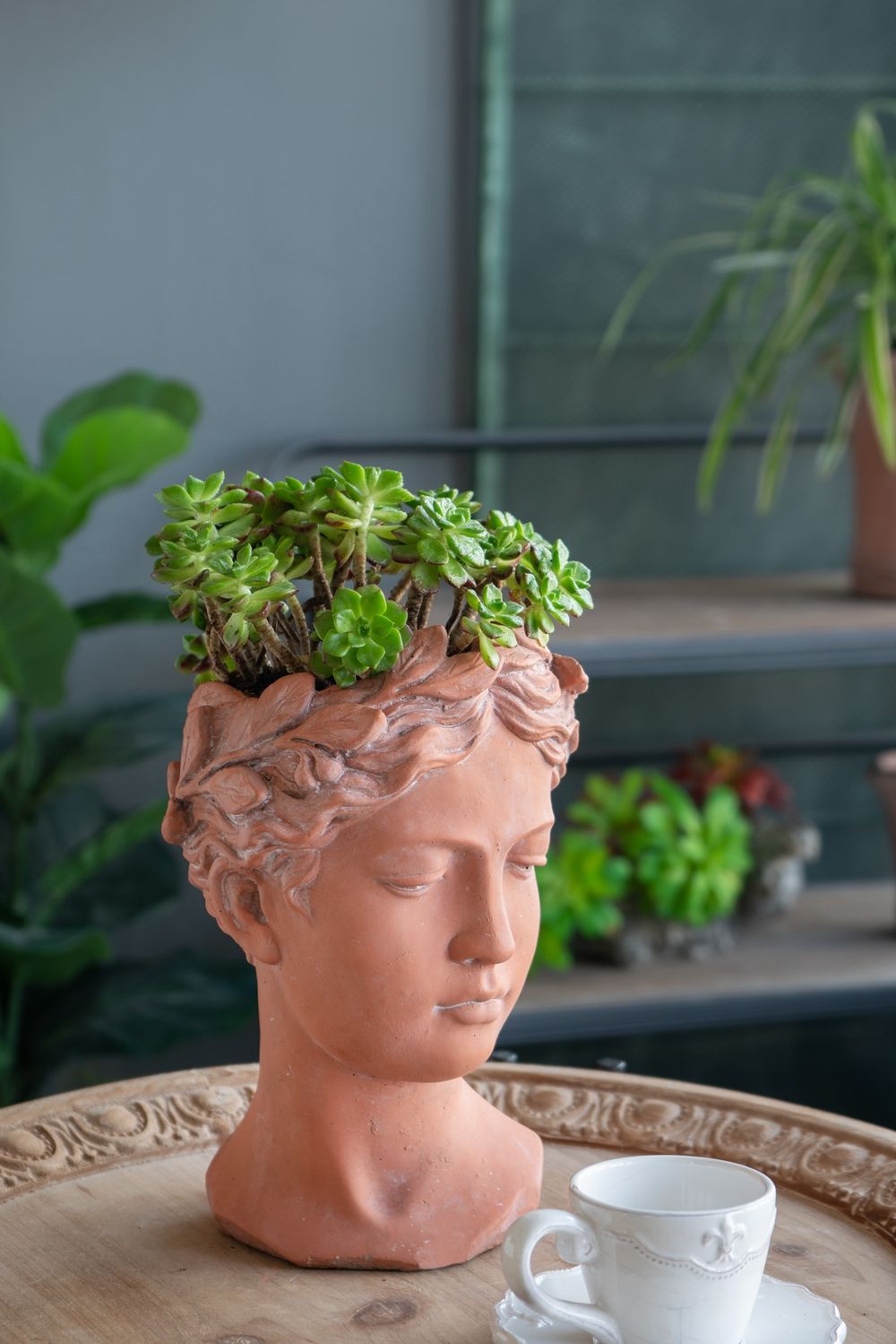 D6X9" Visage Head Bust Planter - Brown by HouseOfZazla