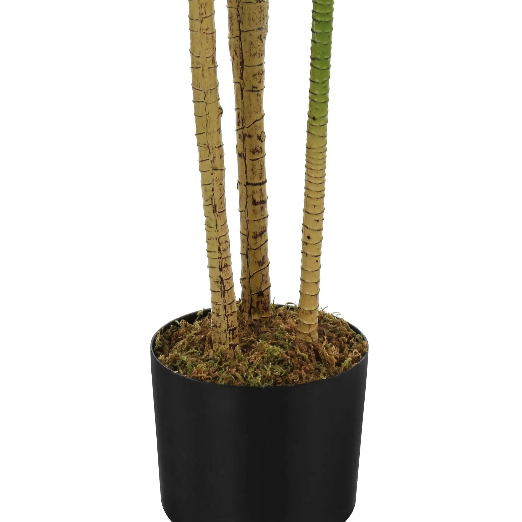 51" Tall, Artificial Plant, Dracaena Tree, Indoor, Faux, Fake, Floor, Greenery, Potted, Real Touch, Decorative - Green / Black by Unique Piece Furniture