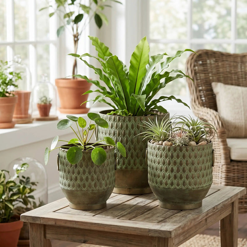 S/3 Textured Planters Set by HouseOfZazla