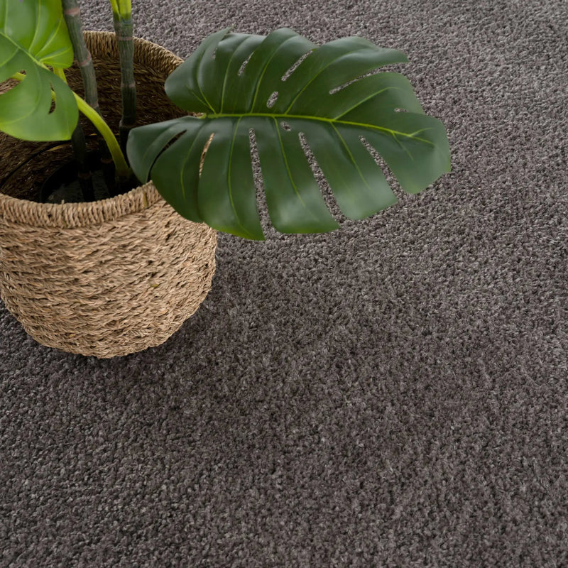 Judy Solid Dark Gray Washable Shag Rug - Clearance by Boutique Rugs