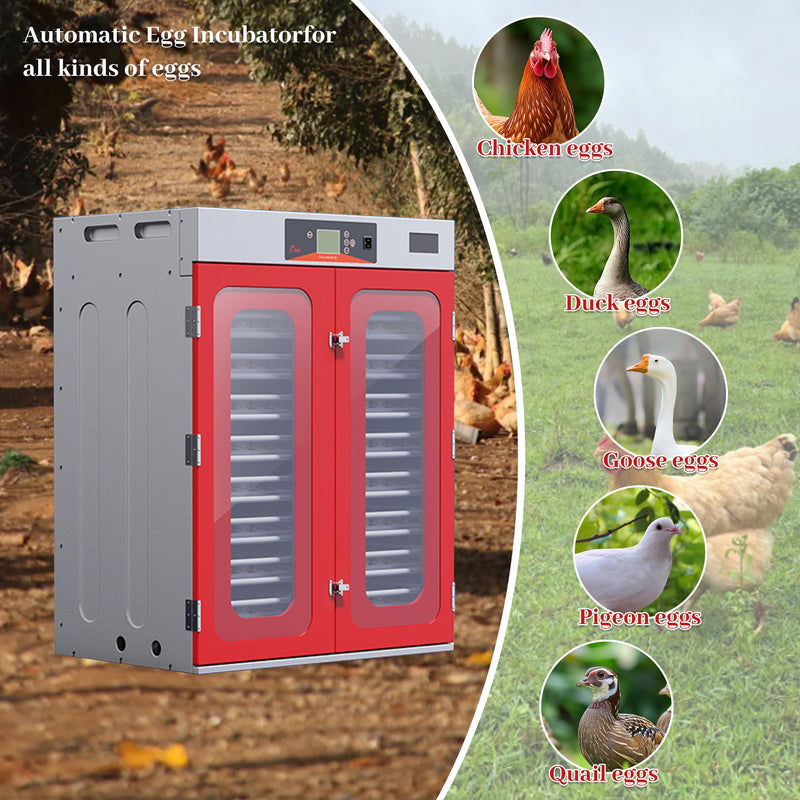 1000-Egg Commercial Cabinet Incubator – Digital Poultry Hatcher by HouseOfZazla
