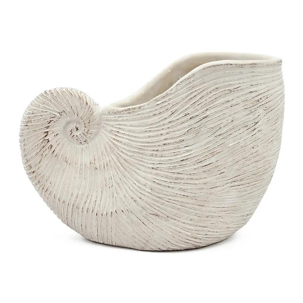 11.5x6.7x7.7" Sand and Cement Nautilus Shell Planter with Textured Beige Finish by HouseOfZazla