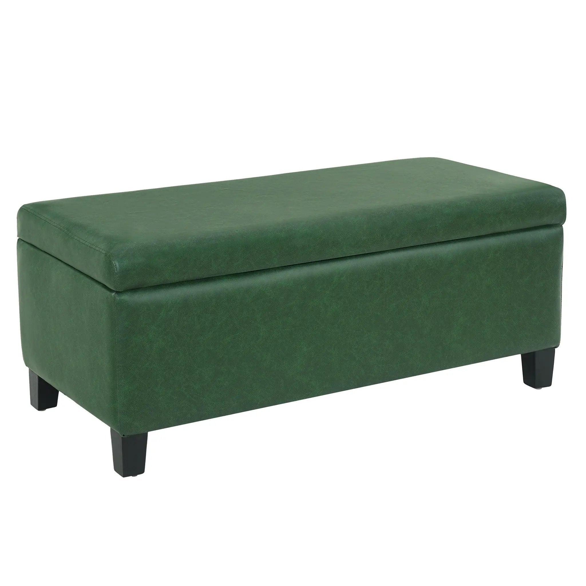 Storage Ottoman with Flip-Top Lid by HouseOfZazla