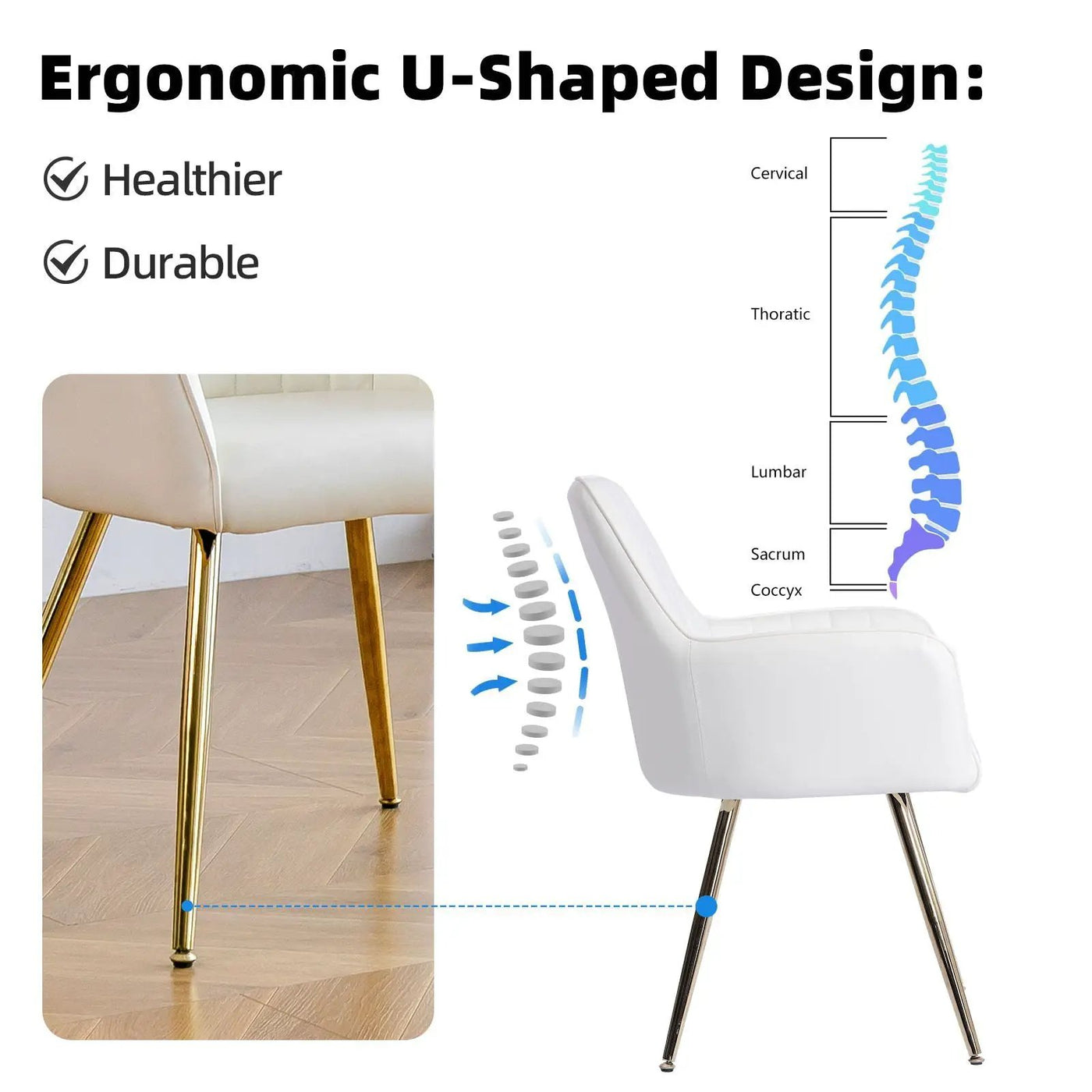 Modern Mid Back Dining Chairs by HouseOfZazla