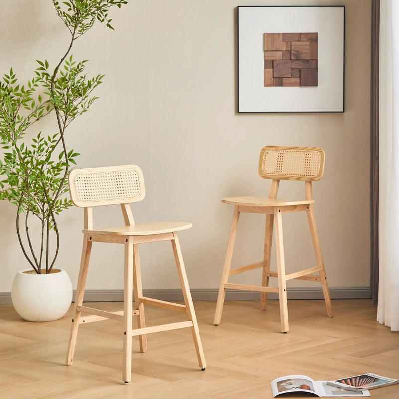 Bari Indoor Wood Barstool (Set of 2) by HouseOfZazla