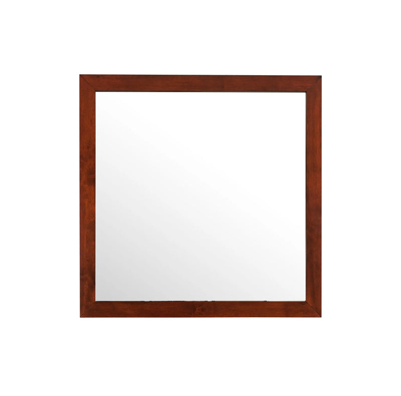 Burlington - Modern Design Transitional Wall Mirror by HouseOfZazla