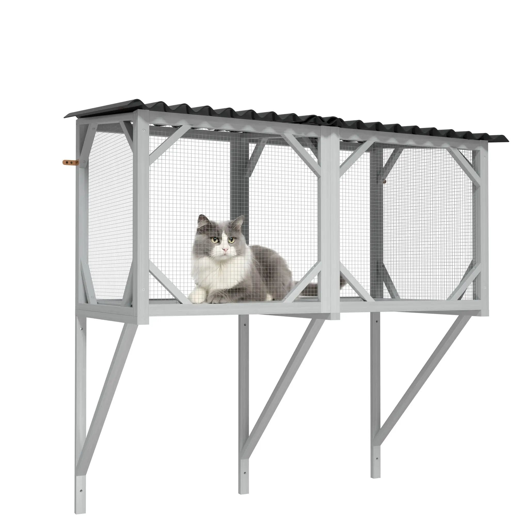 Cat Window Box by HouseOfZazla