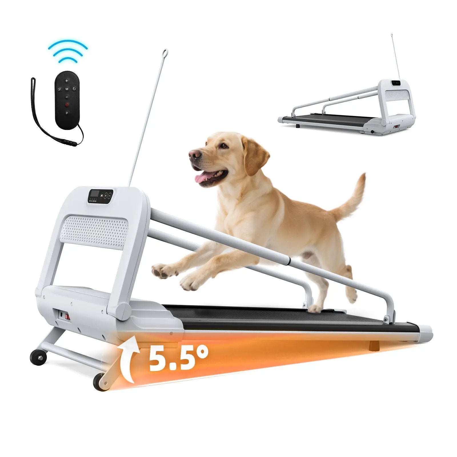 2025 New Quiet Smart Pet Treadmill by HouseOfZazla