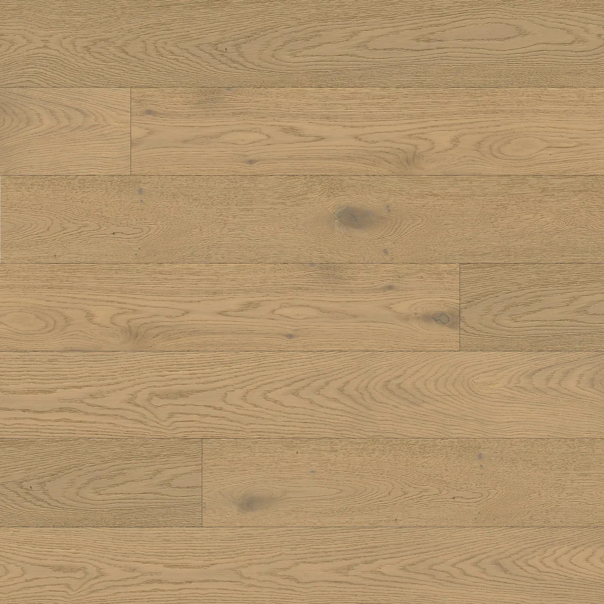 Mccarran Talren Matte Wood Look Planks 9.5x86 by MSI Surfaces