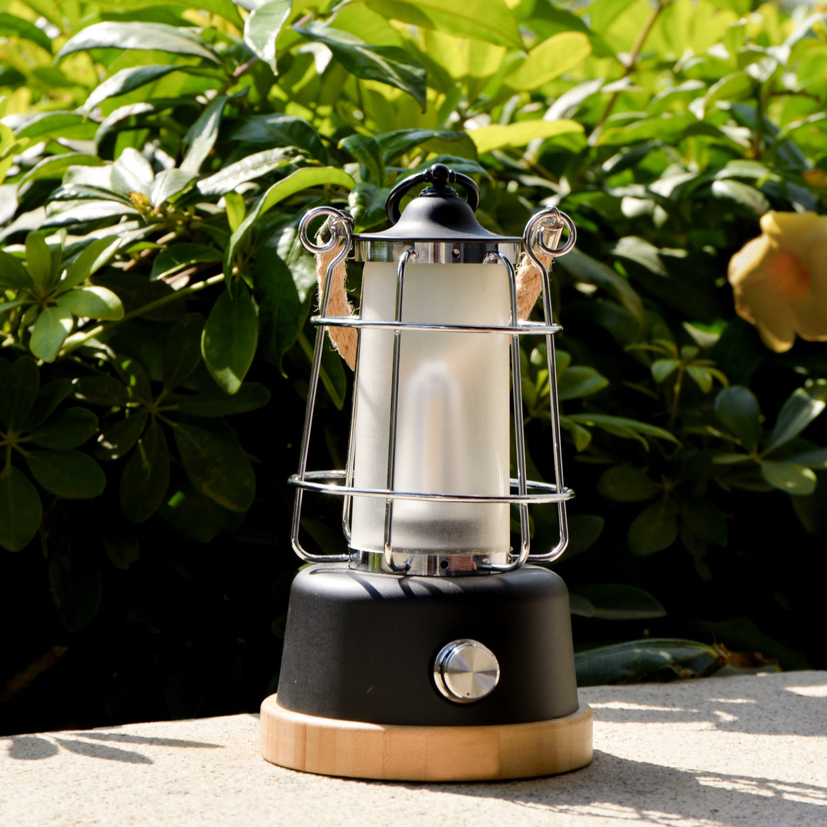 TRU De-LIGHT YOU&ME LED, Dimmable, Color Temperature & Brightness Adjustable, Rechargeable LED Lamp, photo 9 of 14