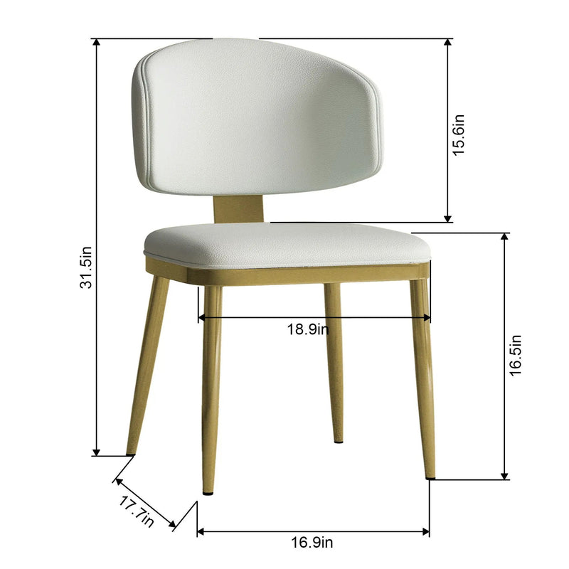 Modern Dining Chairs For Kitchen (Set of 2) by HouseOfZazla