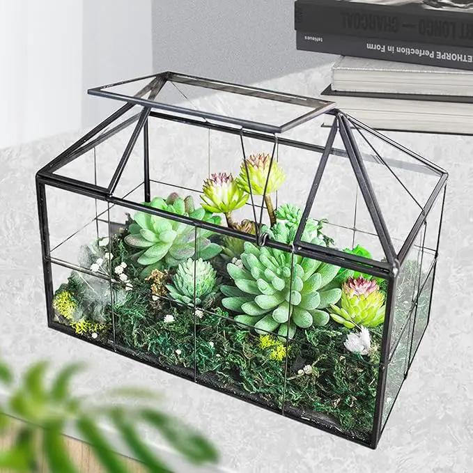 Ferrisland Glass Terrarium Greenhouse House Shape Display Box Planter for Succulents Plant Terrarium Container Mordern Tabletop Decor Gardern DIY Kit by GreenHaven Gardens