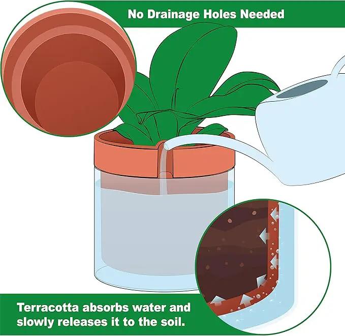 Phoenix Vine 10 Inch Self Watering Planter Pot, Terracotta Clay Pot with Glass Reservoir for Indoor Plants, Herbs, Flowers, Set of 1, 52-A-I-1 by GreenHaven Gardens