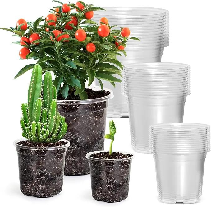36 Packs 5/4/3.5 Inch Reinforced Clear Nursery Pots with Drainage Hole, Transparent Variety Pack Plastic Plant Pot Seedling Planter Seed Starter Flower by GreenHaven Gardens