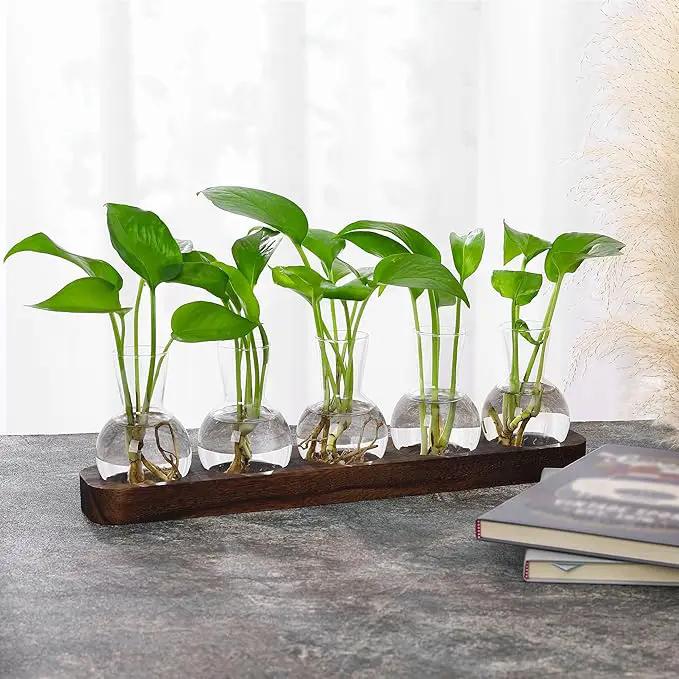 YIBOT Plant Propagation Stations,Glass Propagation Vases for Plants Terrarium with Wooden Tray Plant Lover Gifts for Propagating Hydroponic Plants Home Office Decor(5 Vase) by GreenHaven Gardens