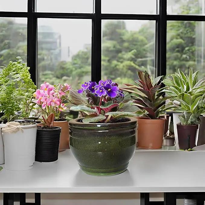 African Violet Pots Self Watering Round Ceramic Violet Pot (Olive drab, 6 inch) by GreenHaven Gardens