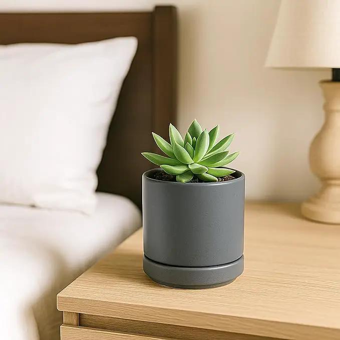 D'vine Dev Set of 4 Small Ceramic Plant Pots, 3.5 Inch Succulent Planter Pot for Plants with Drainage Hole and Saucer, Grey, 94-X-A-3 by GreenHaven Gardens