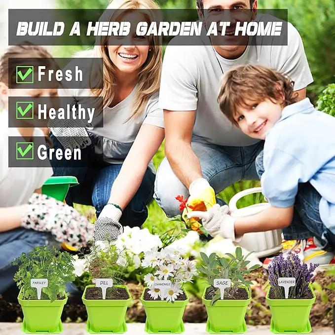 10 Herb Seeds Garden Starter Grow Kit with Green Pots, Markers, Nutritional Soil, Watering, Herb Clipper, Complete Indoor Potted Plant Growing Set for Kitchen DIY by GreenHaven Gardens