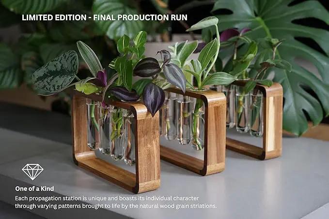 Source & Plot - Plant Propagation Station - Acacia Wood Stand 4 Glass Test Tube Hydroponic Tabletop Rooting Terrarium Planter Rack Home and Office Decor - Last Batch by GreenHaven Gardens