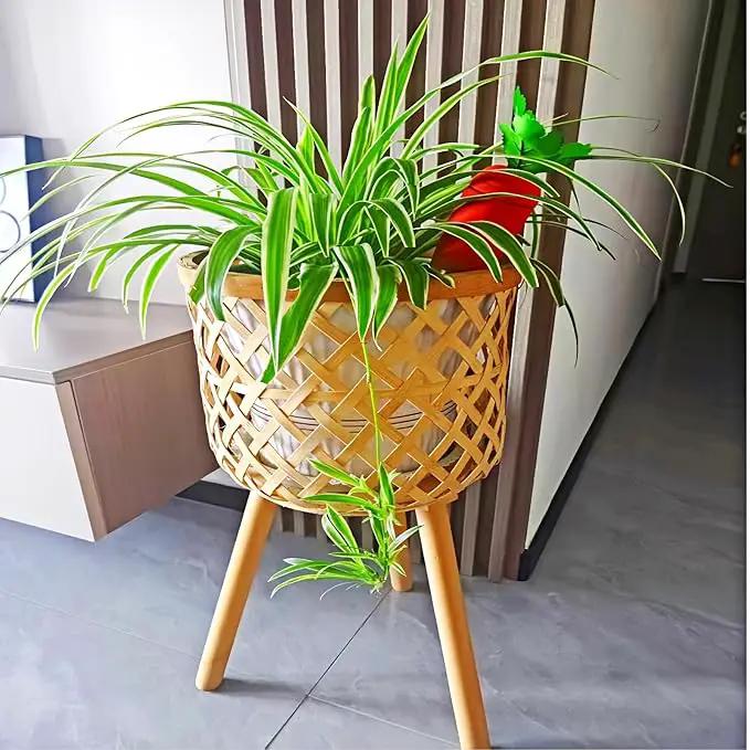 4-Pack Plant Watering Spikes with Lids，Self Watering Spikes, Plant Water Seepage Device, Cute Carrot Shape，Clay Plant Garden Waterers for Vacations by GreenHaven Gardens