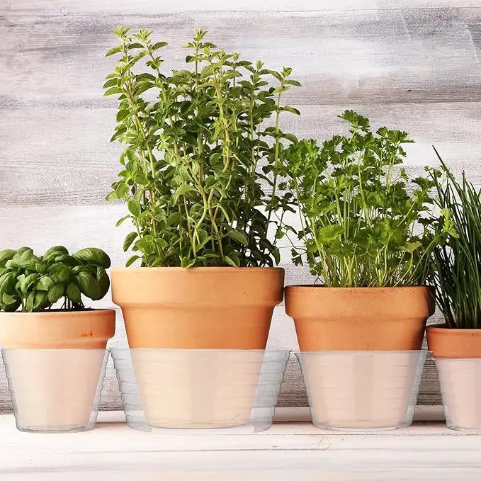 Hoolerry Plastic Plant Saucer Clear Deep Drip Tray Thickened Clear Plant Saucers Trays for Pots Deep Drip Trays for Home Garden Indoor and Outdoor Potted(20 Pcs,6, 8, 10, 12 Inch) by GreenHaven Gardens