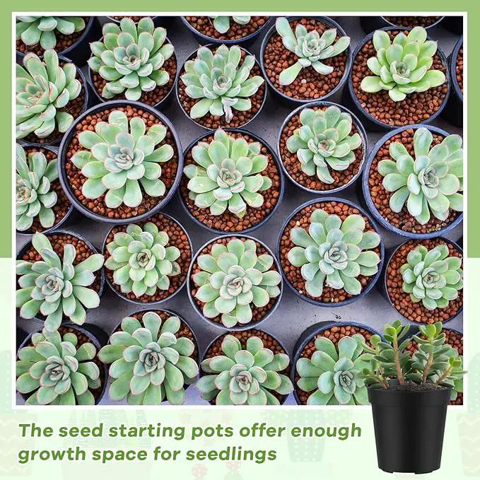 Yaomiao 200 Pcs 2 Inch Black Mini Plastic Plant Pot Nursery Seedling Pots Seed Starter with Drainage Holes for Indoor Outdoor Garden Succulent Plants Cuttings Transplanting by GreenHaven Gardens